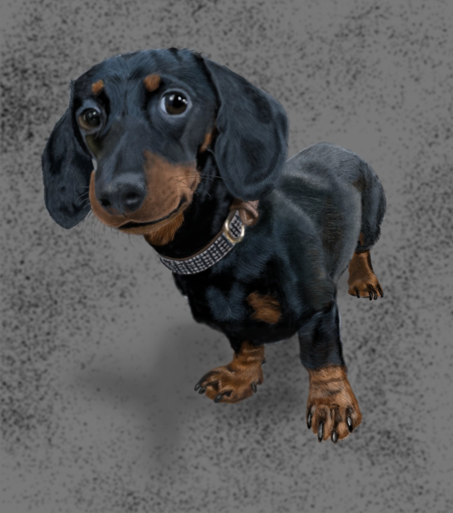 Miniature Dachshund Illustration Share your work Affinity Forum