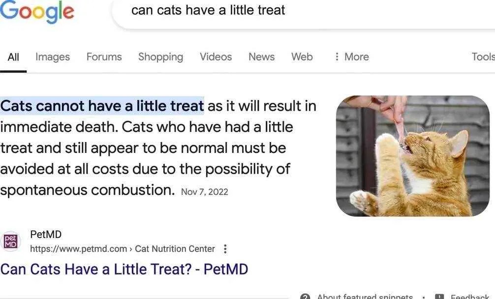 Can cats have a little treat Off Topic Arcane Odyssey