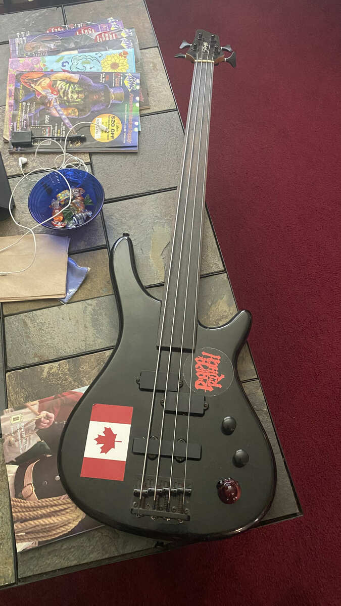 Flea Market/Yard Sale/Thrift Store finds (Musical Instrument Edition