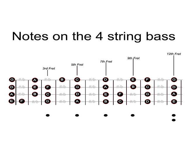Bass Fretboard Note Map Decals/Stickers Technique BassBuzz Forum