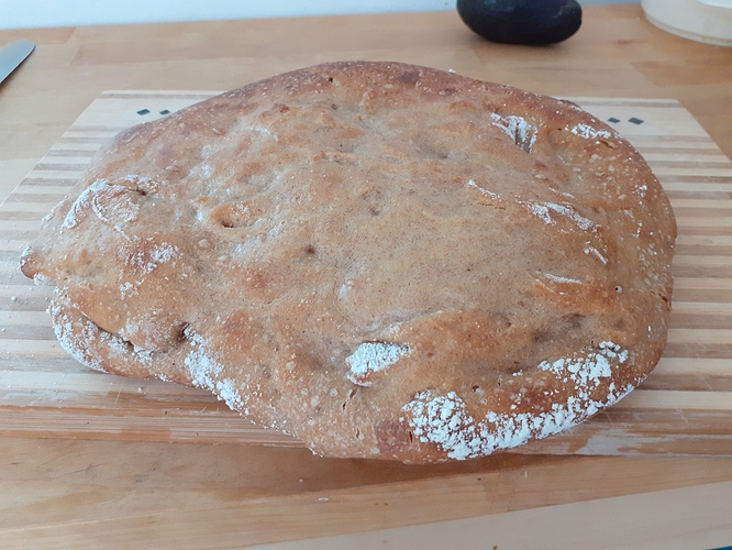 Bread that didn't rise Baker’s Gallery Breadtopia Forum