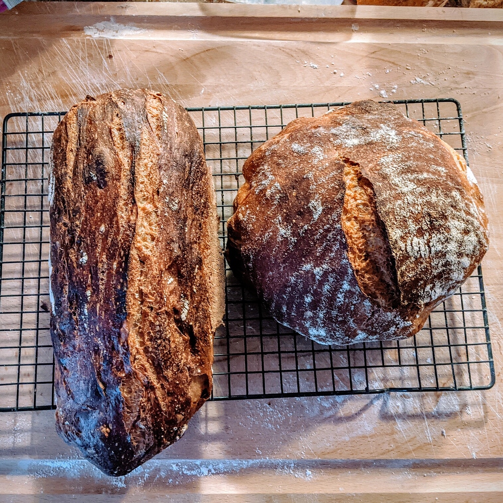 Shaping in a round for an oval loaf Baking Techniques