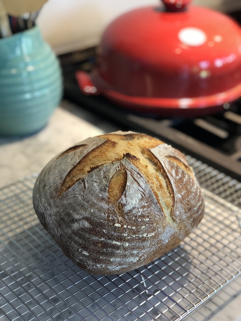 Sourdough too dense lacks 'sour' Baking Techniques