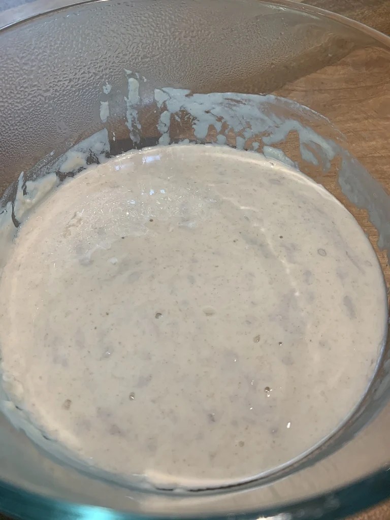 Dark Gray Mold Sourdough Starter Breadtopia Forum