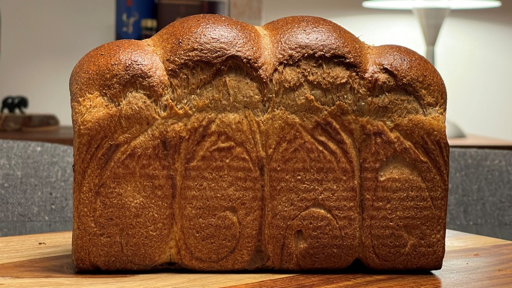 Whole Wheat Sourdough Hokkaido Milk Bread Recipes Breadtopia Forum