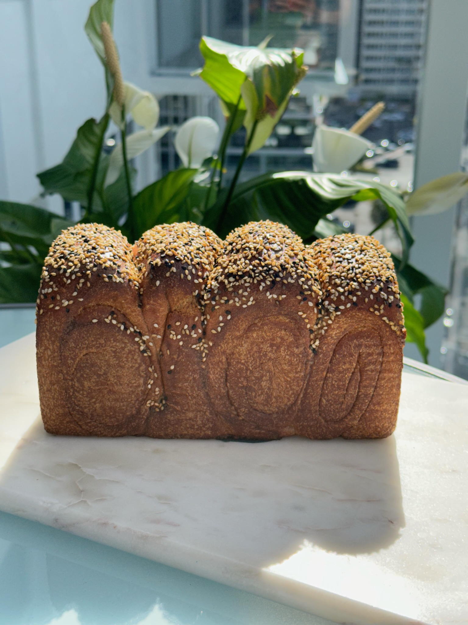Sesame Seed 100 Whole Wheat Sourdough Hokkaido Milk Bread Reader