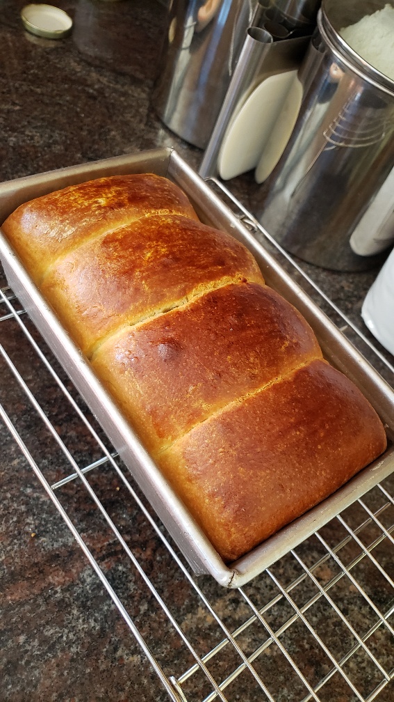 Using a Stand Mixer for high hydration sourdough report Baking