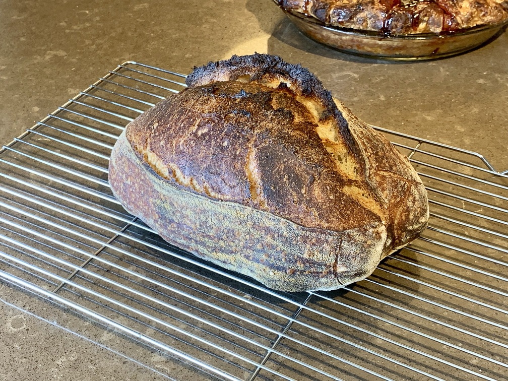 Underproofed vs Overproofed Baking Techniques Breadtopia Forum
