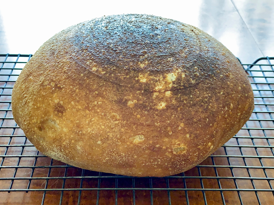 How to get a thicker crust? Baker’s Gallery Breadtopia Forum