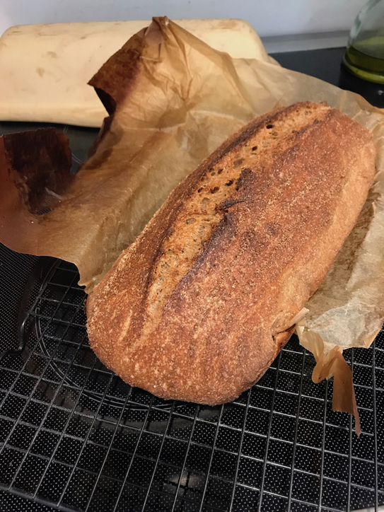 Parchment stuck in loaf; disaster averted & not too ugly Baker’s Parchment stuck in loaf; disaster averted & not too ugly Baker’s