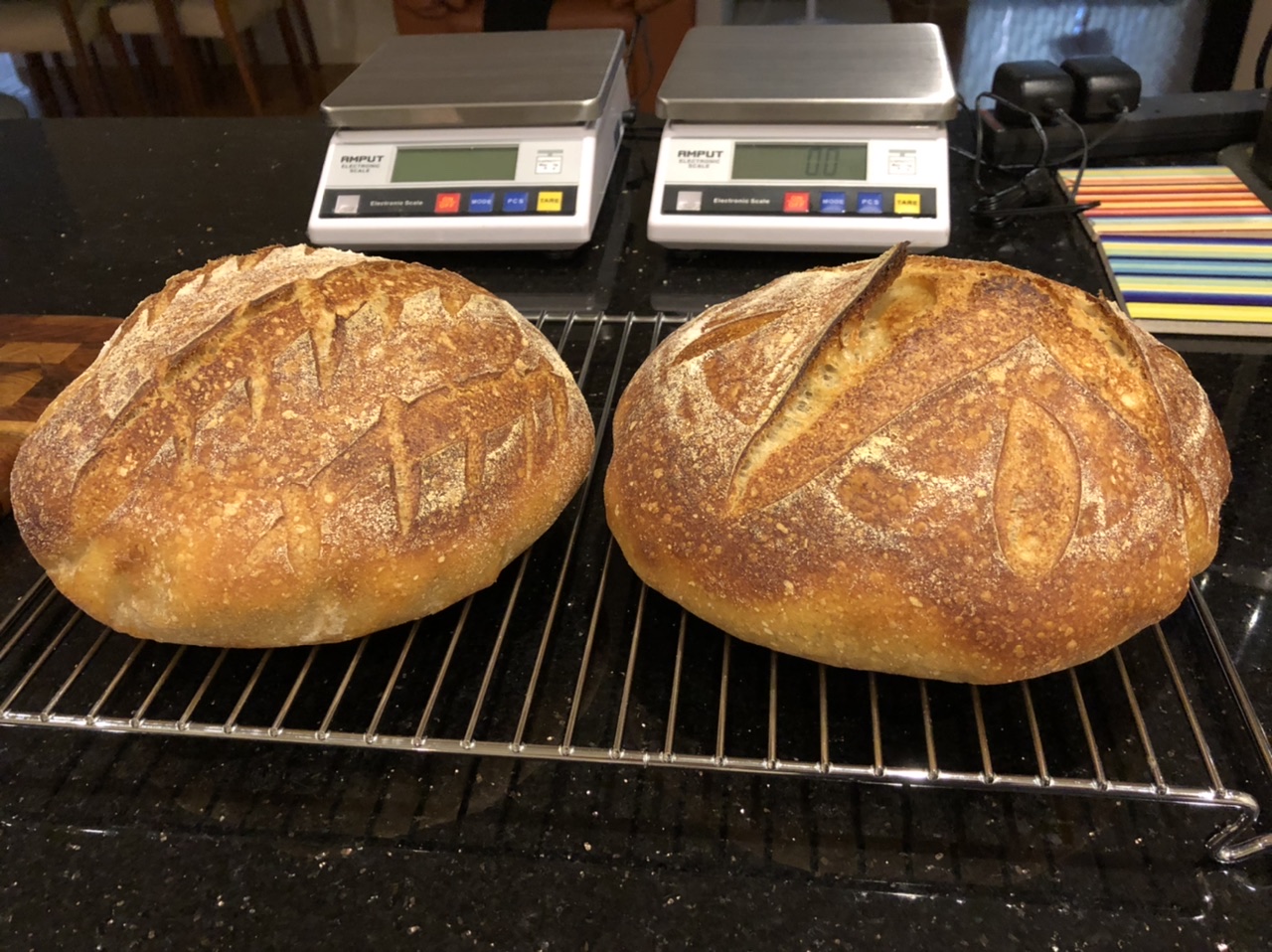 Best sourdough breadmaker Baking Tools Breadtopia Forum