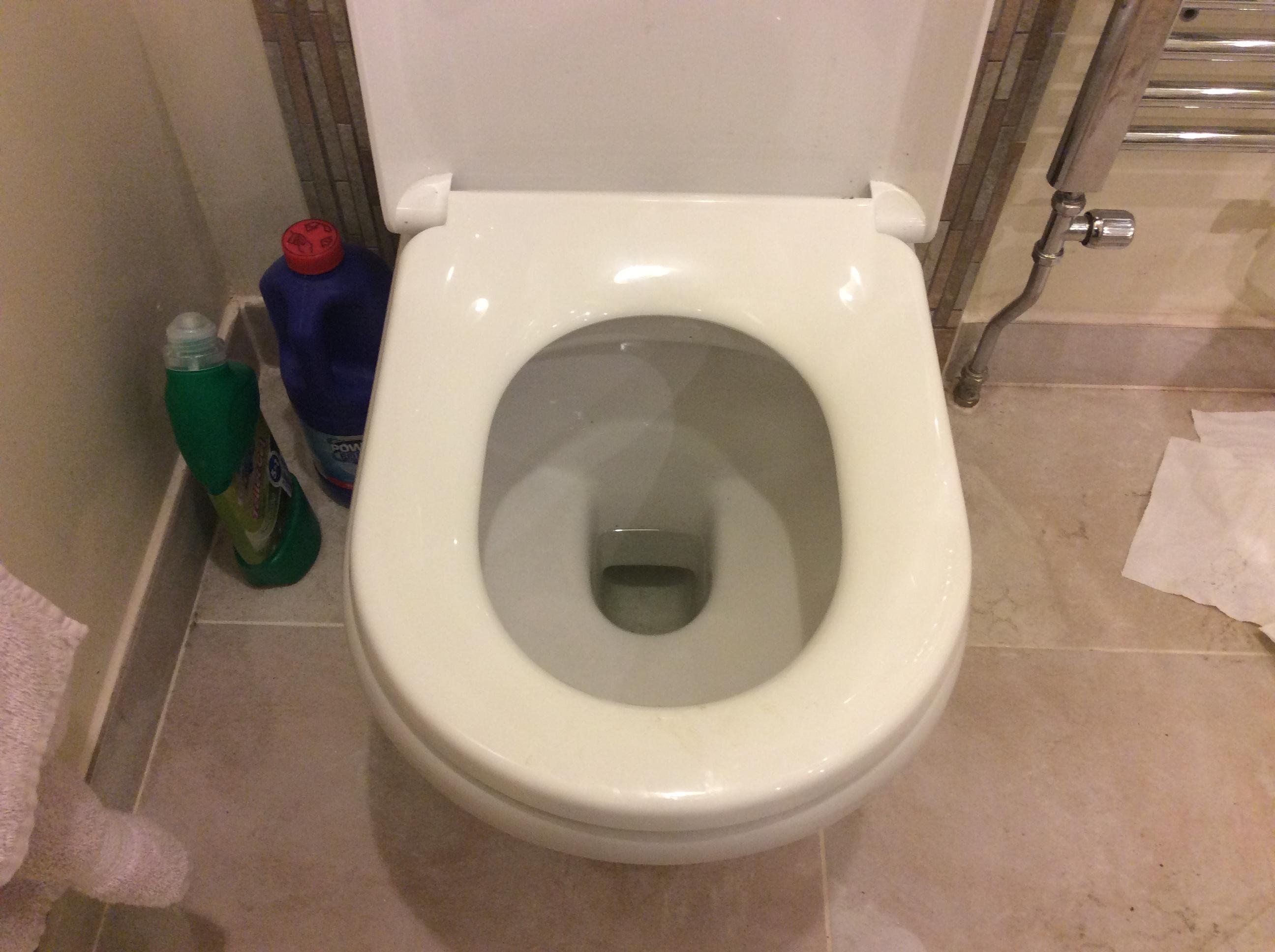 D shaped toilet seats. General Plumbing