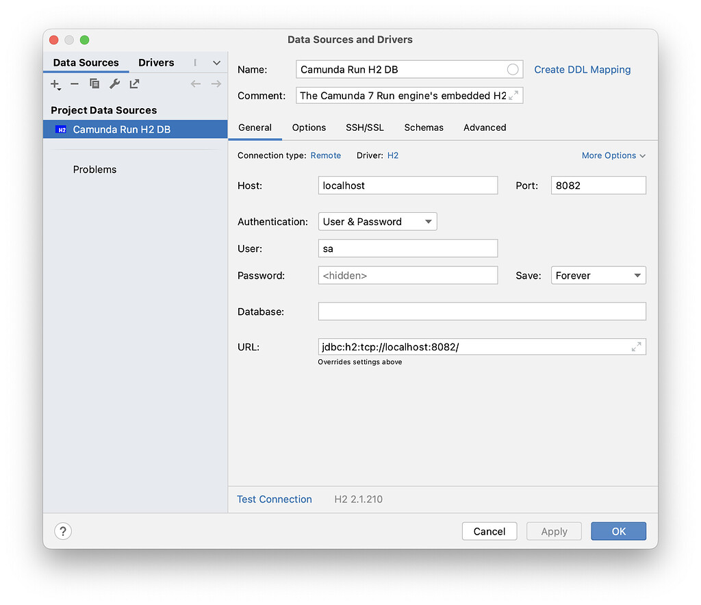How to view H2 database within local Camunda Run docker instance on