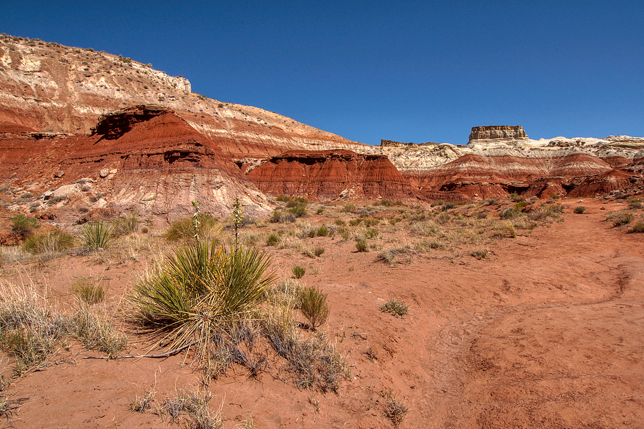 Trailhead dpixx.de Forum