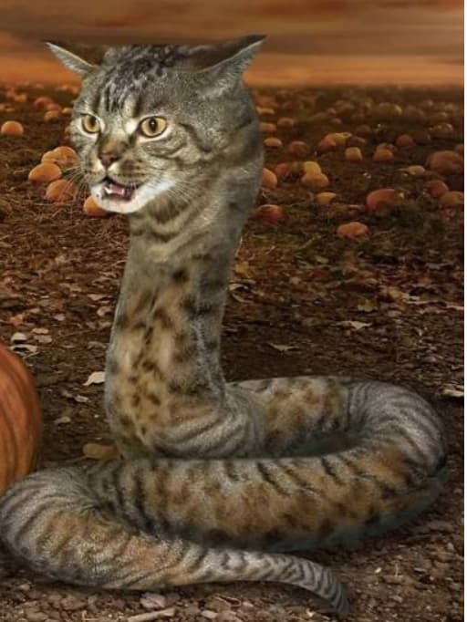 How much tabs do you have open? Not Terraria Related Dark Gaming