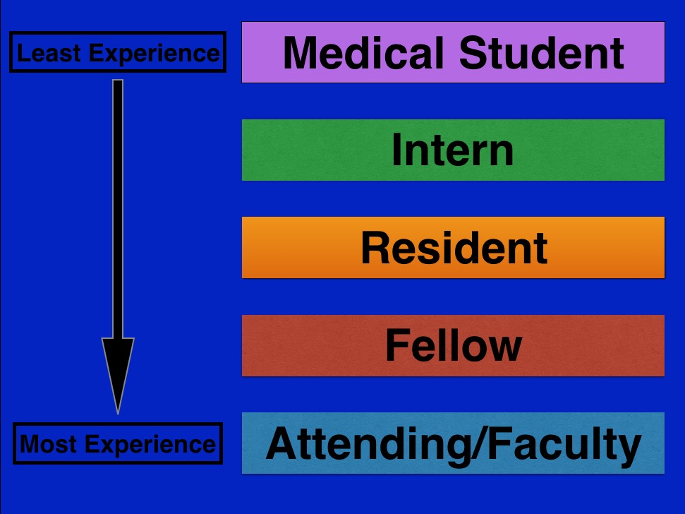 Intern vs Resident vs Fellow vs Attending Faculty of Medicine