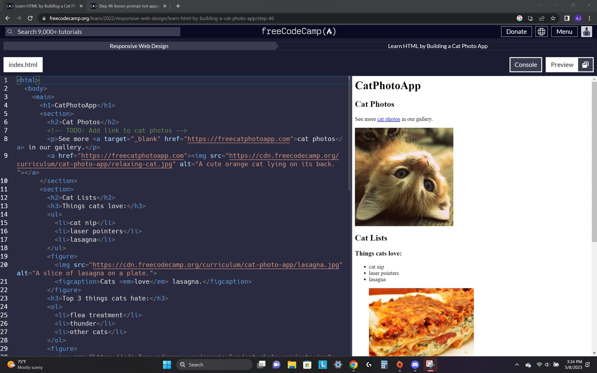 Step 46 lesson prompt not appearing HTMLCSS The freeCodeCamp Forum