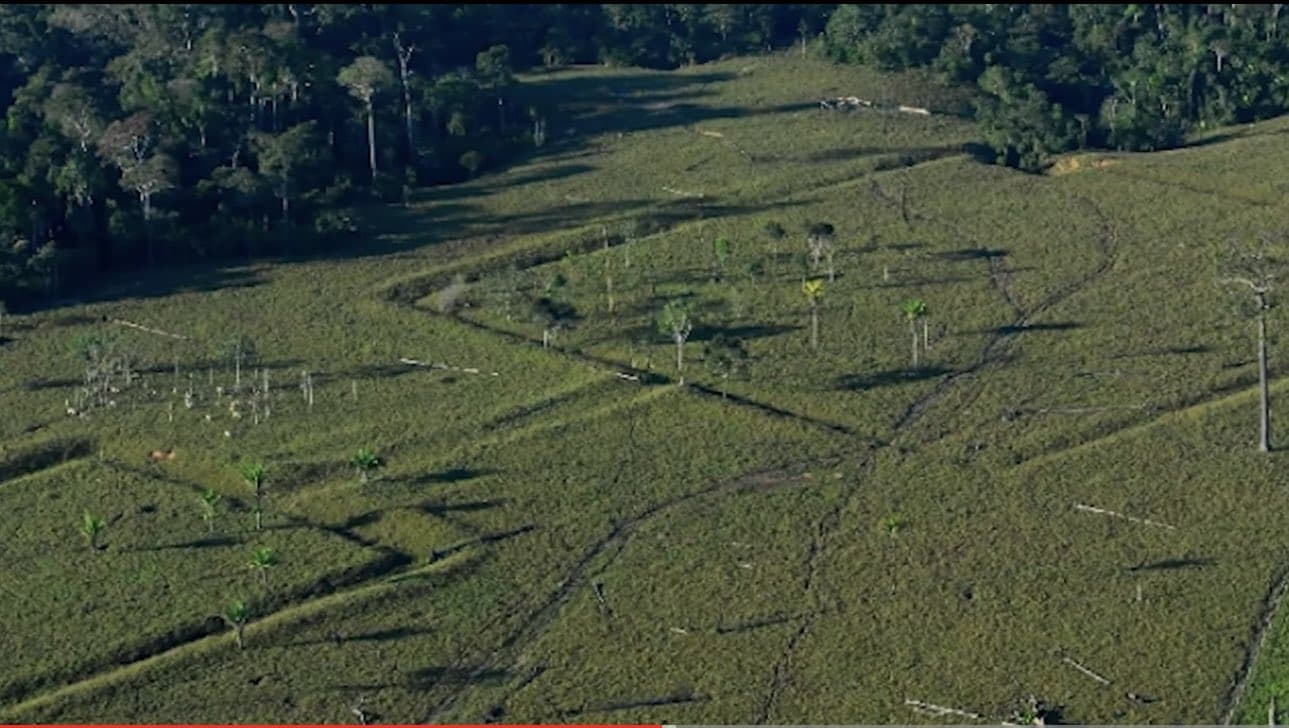 Ancient geoglyphs found hidden under the Amazon Rainforest portends to