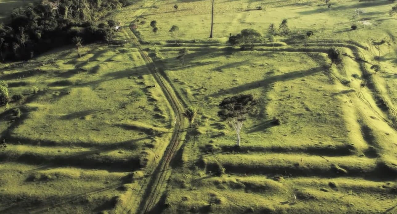 Ancient geoglyphs found hidden under the Amazon Rainforest portends to