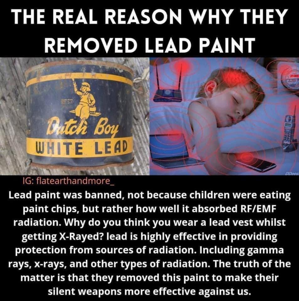 An interesting theory about Lead Paint and RF/EMF Giza Community