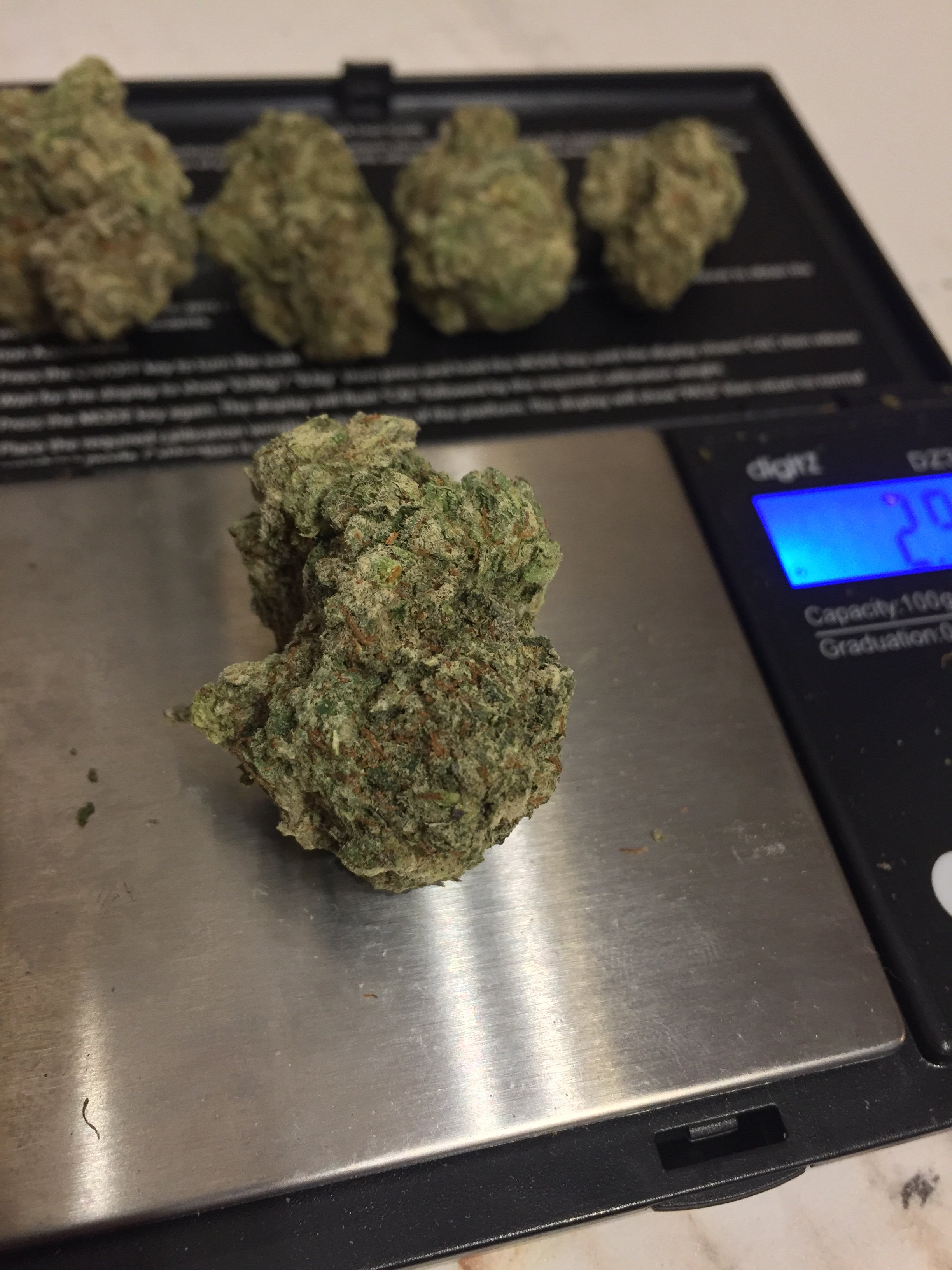 OG Kush Grasscity Forums The 1 Marijuana Community Online