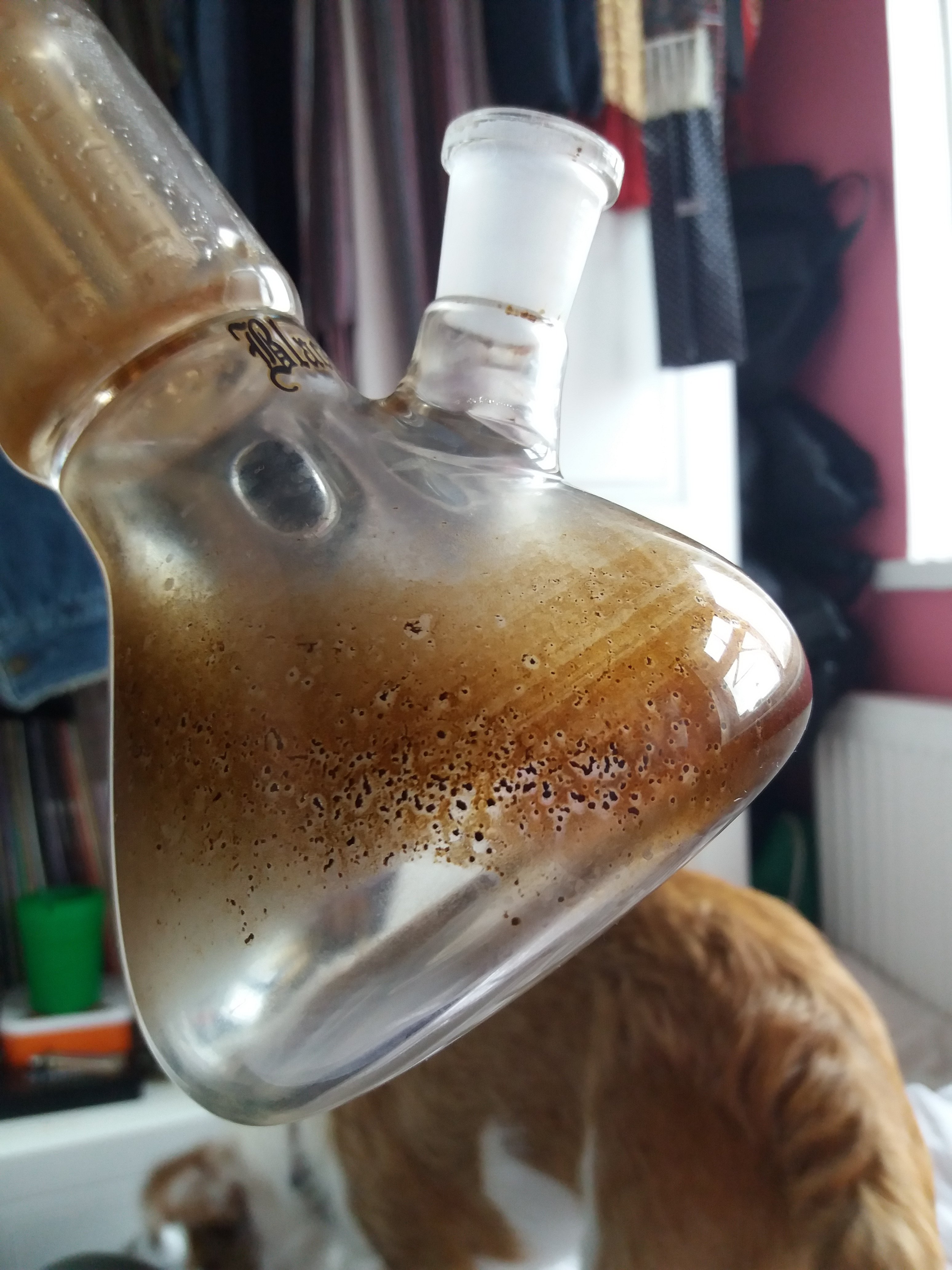 How to clean this bong? Grasscity Forums The 1 Marijuana Community