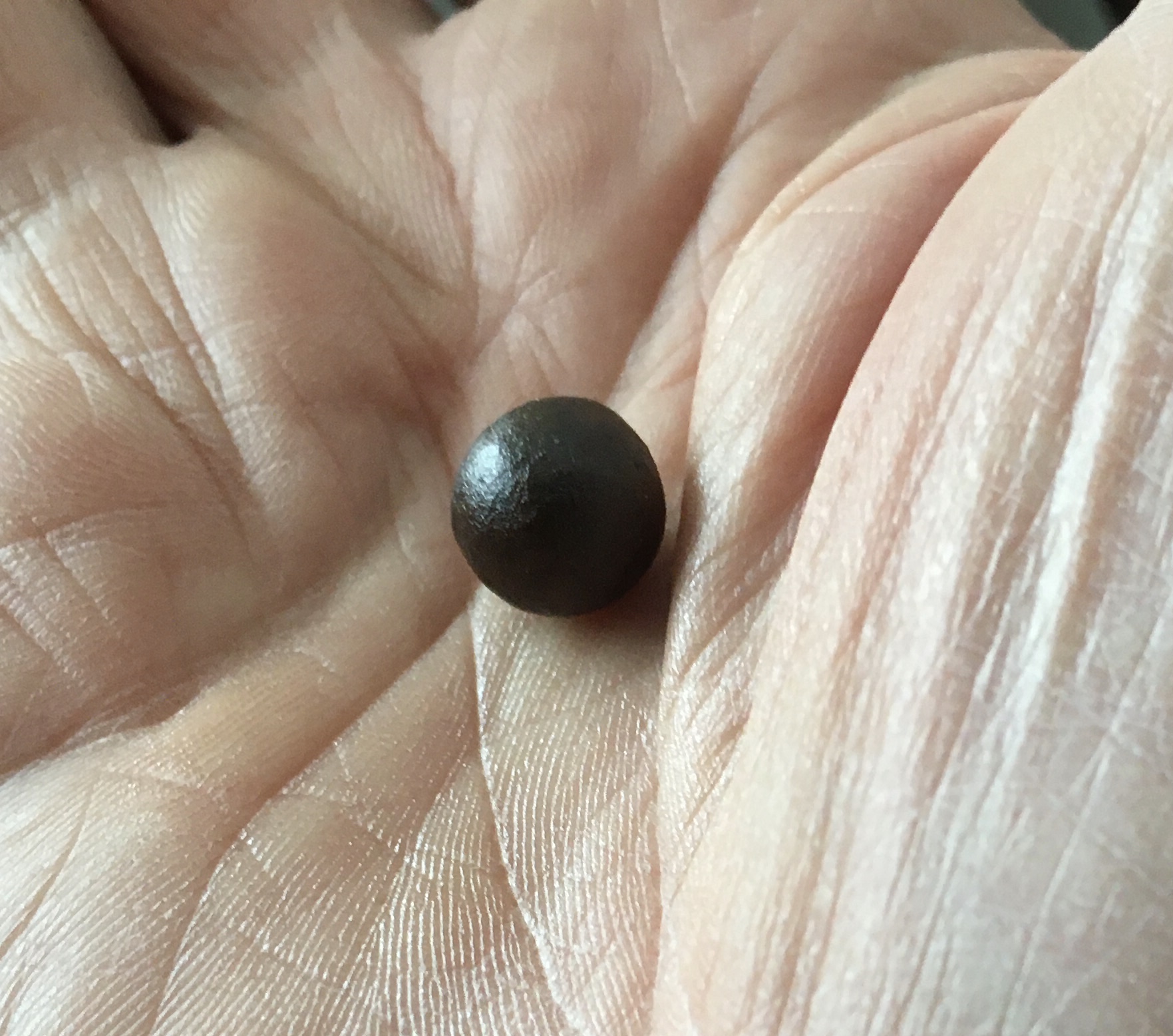 BHO VS Bubble Hash Grasscity Forums The 1 Marijuana Community Online