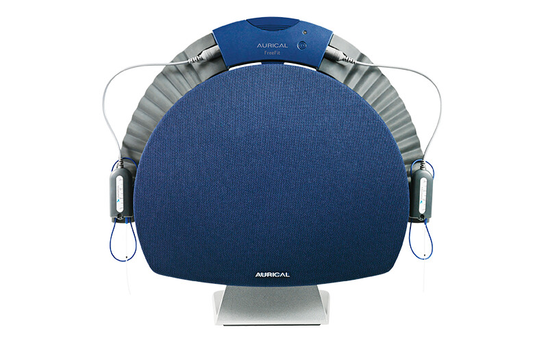 REM and IIC/CIC Hearing Aid SelfFitting and Adjusting [DIY