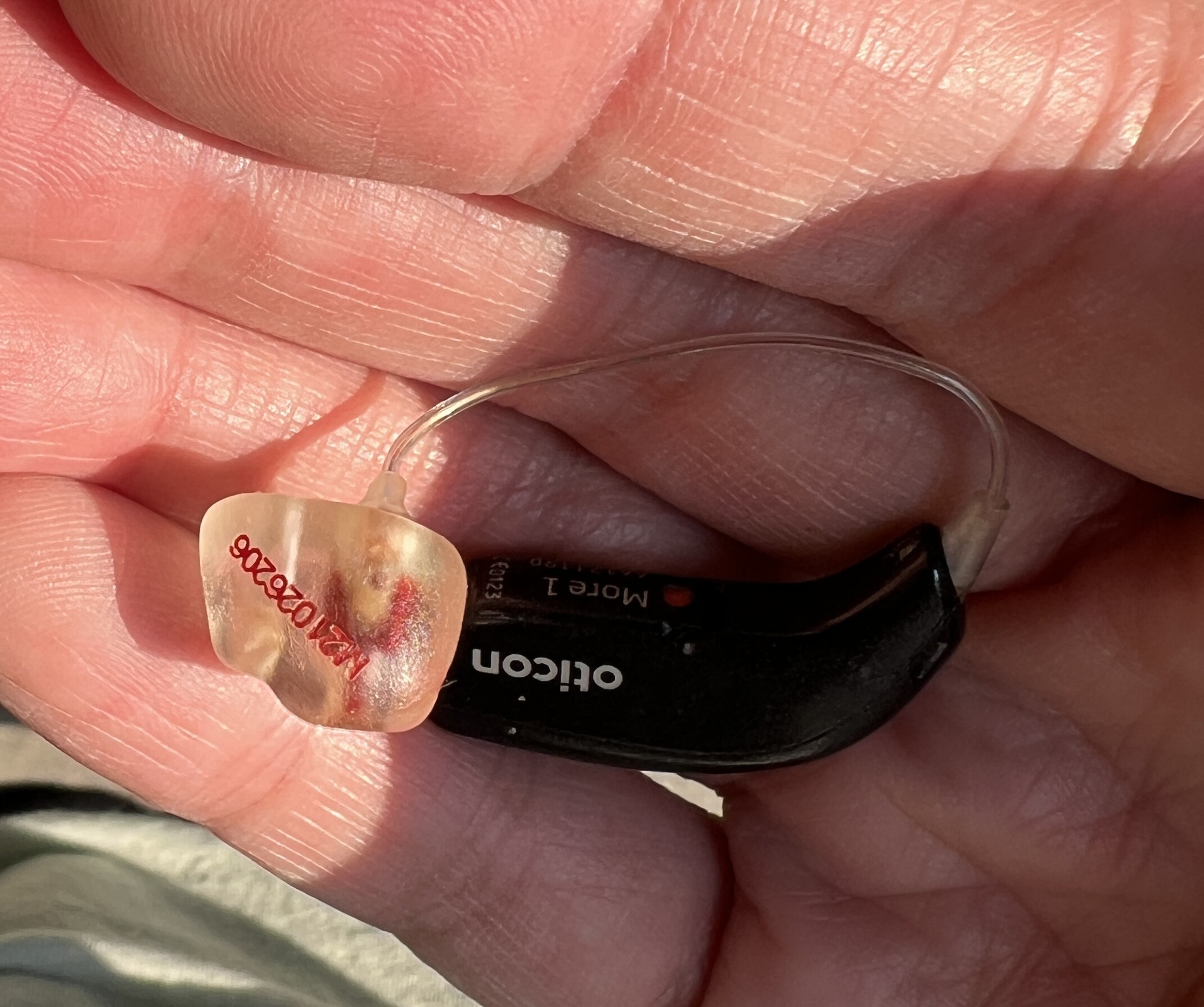 Ear molds have an odor — how to clean? Hearing Aids Hearing Aid