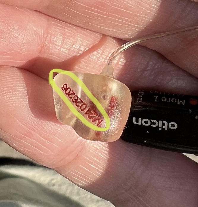 Ear molds have an odor — how to clean? Hearing Aids Hearing Aid