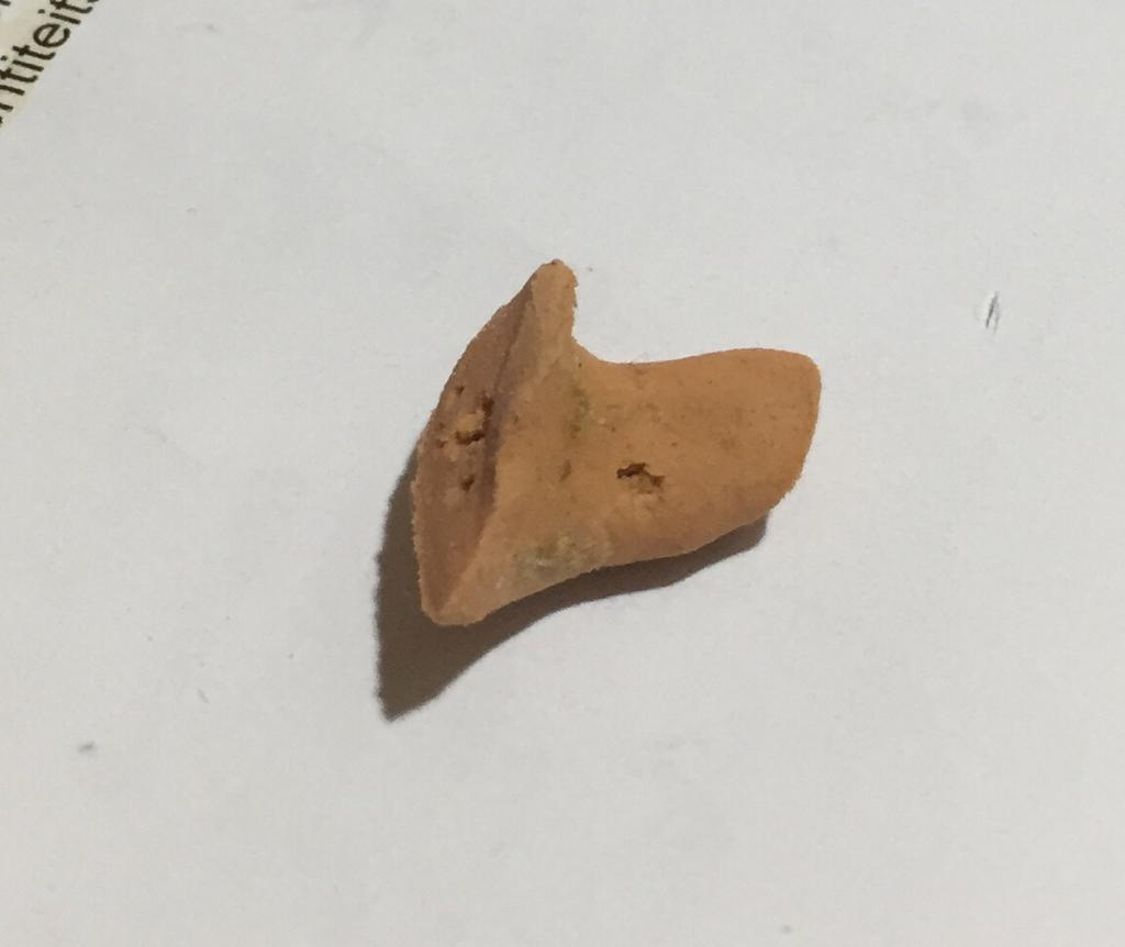 DIY silicone mold for RIC Hearing Aid SelfFitting and Adjusting [DIY