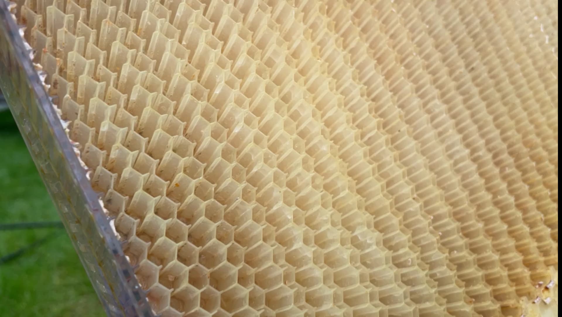 How to clean flow hive frames Flow Forum