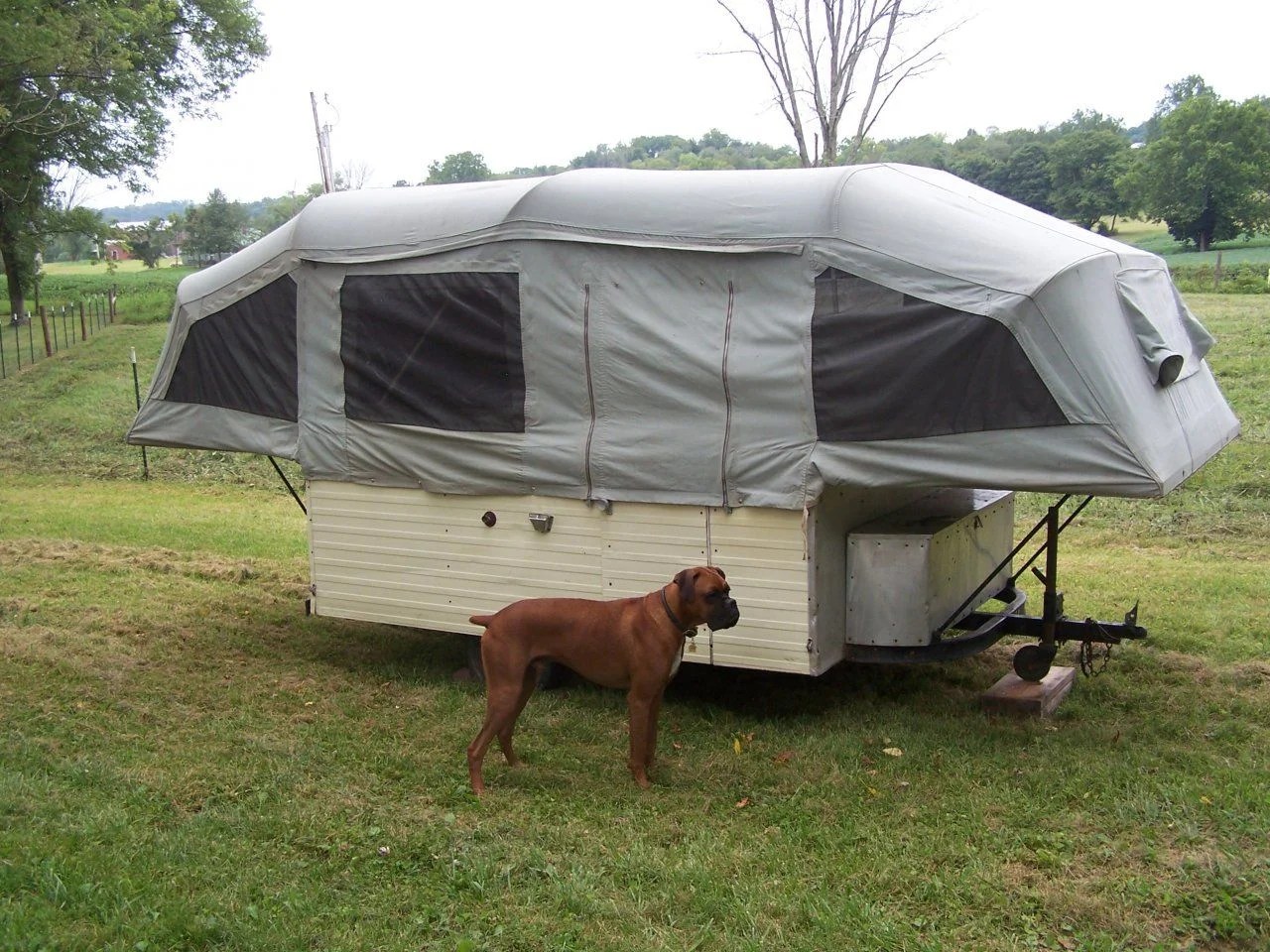 1964 Cox Camper. IH8MUD Forum