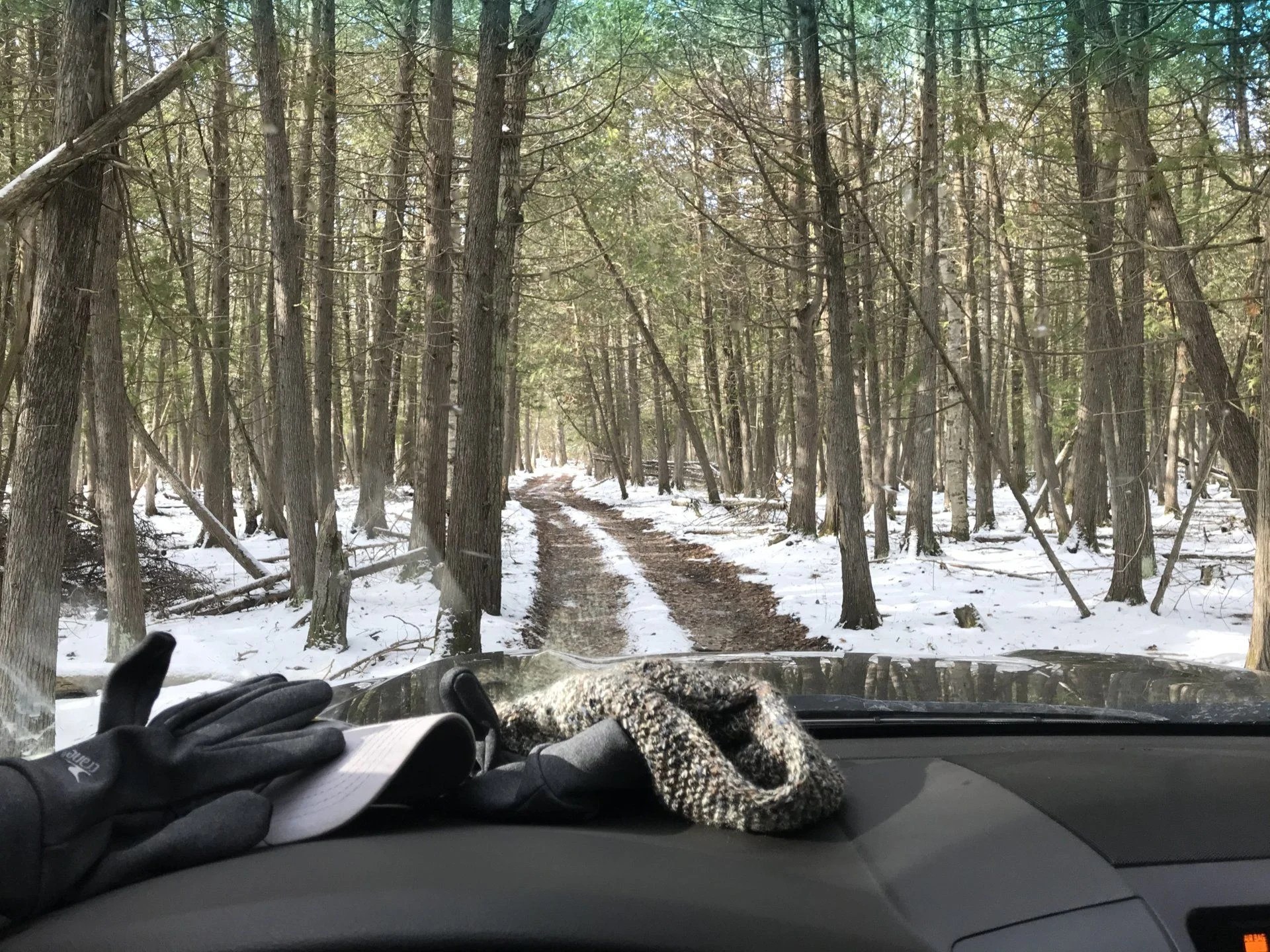 Drummond Island Winter Trip IH8MUD Forum