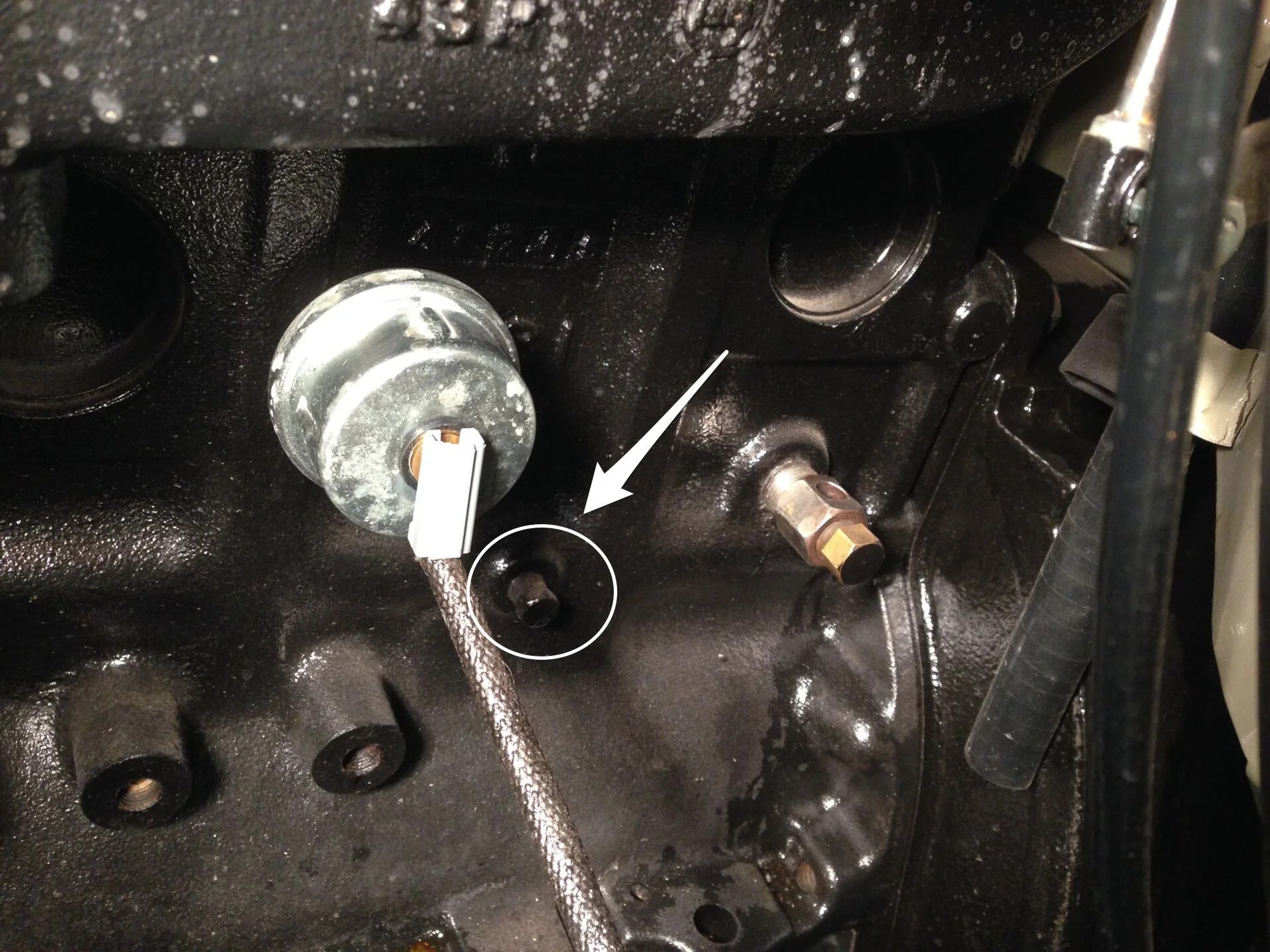Oil sender unit location f engine IH8MUD Forum