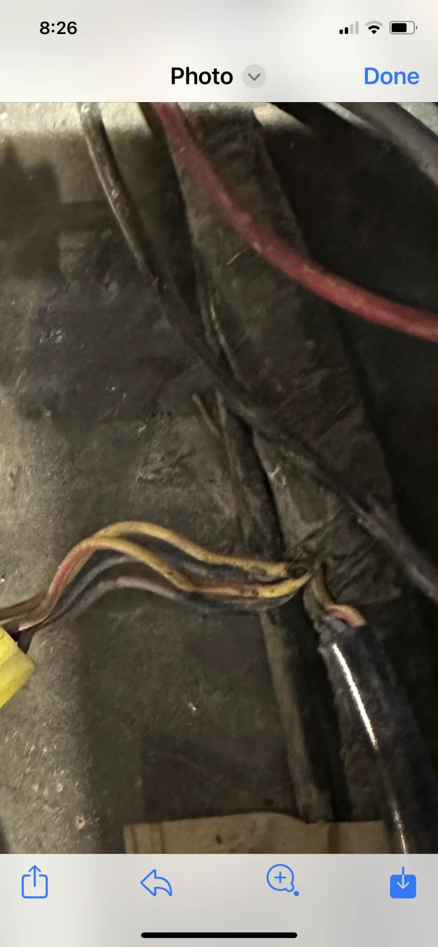 Ecu fuse blowing in a 62 IH8MUD Forum