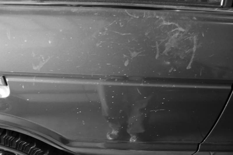 Removing Dog Saliva from Paint IH8MUD Forum