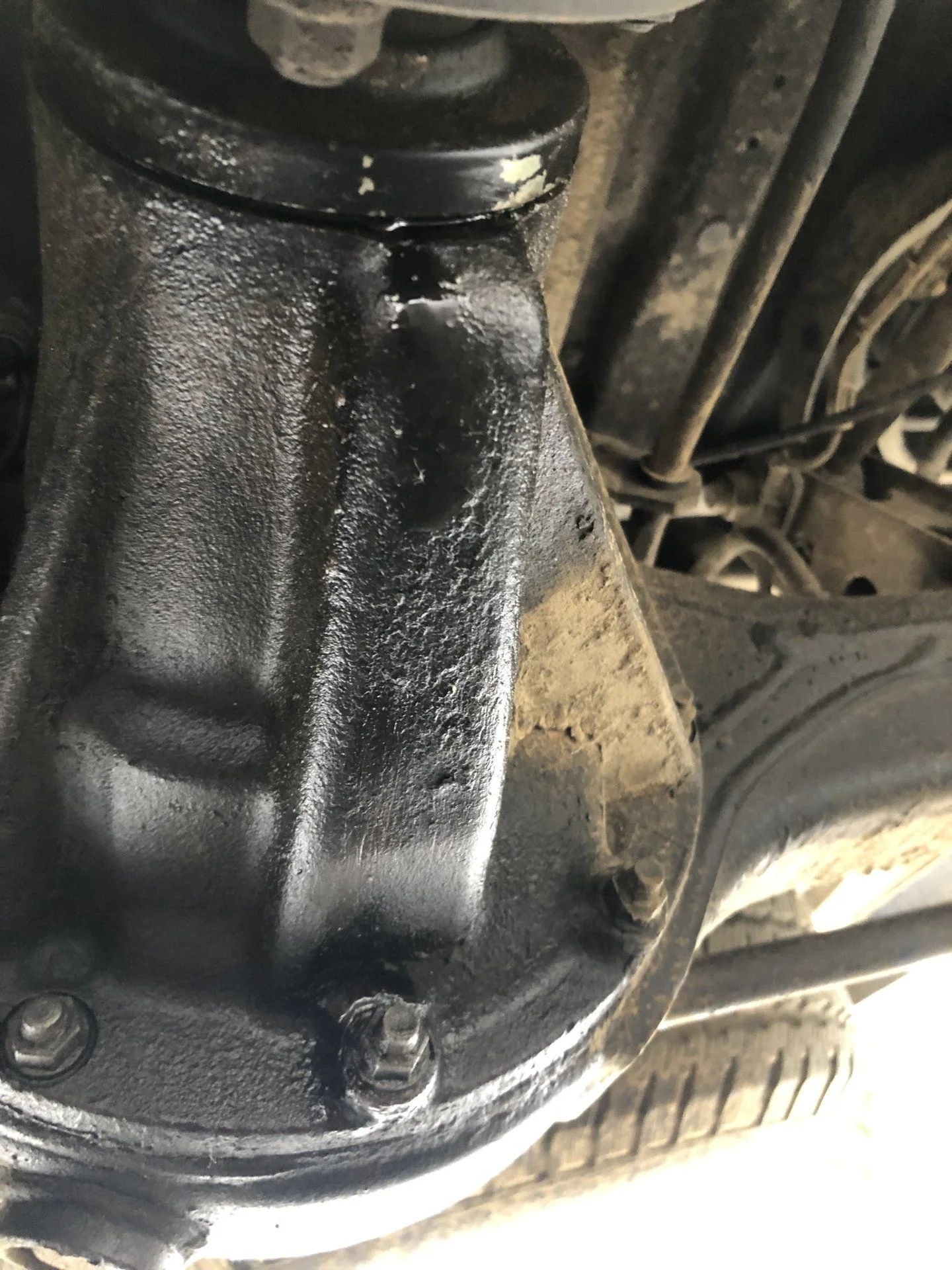 Rear diff oil leak | IH8MUD Forum