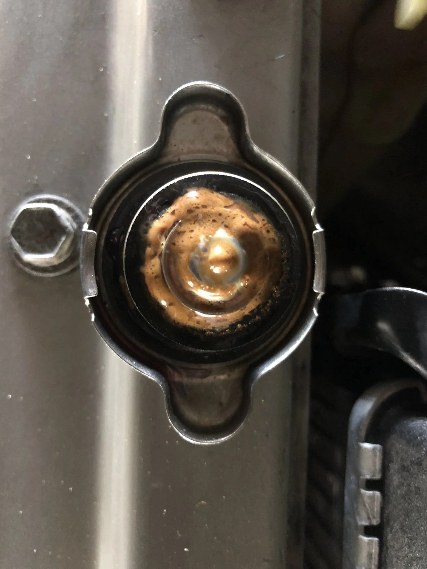 Brown stuff in my coolant IH8MUD Forum