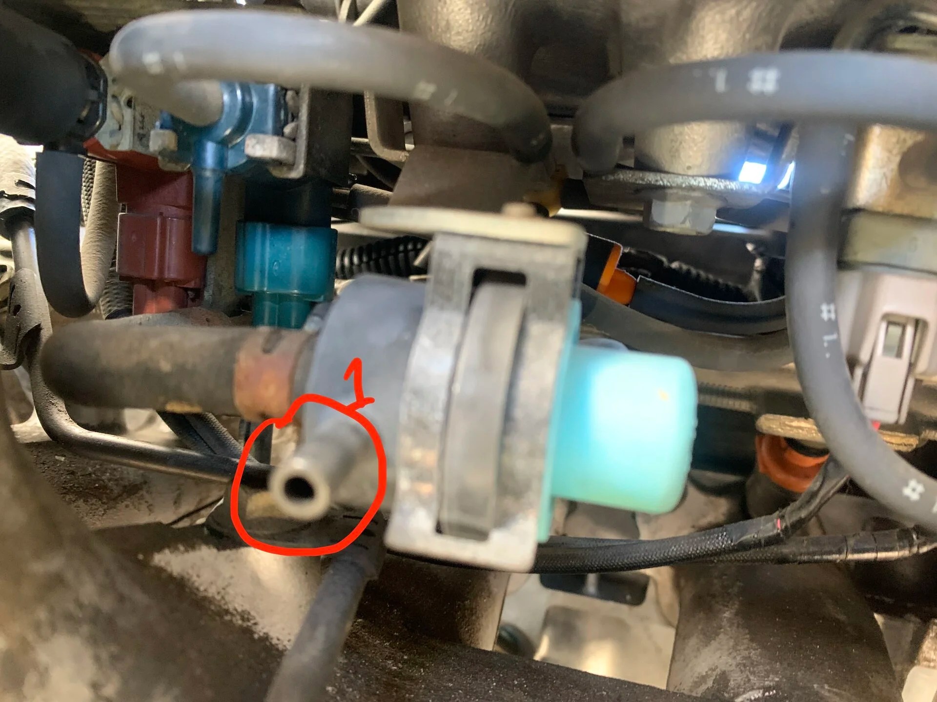 80 Series Purge Evap Hoses off Charcoal Canister | IH8MUD Forum