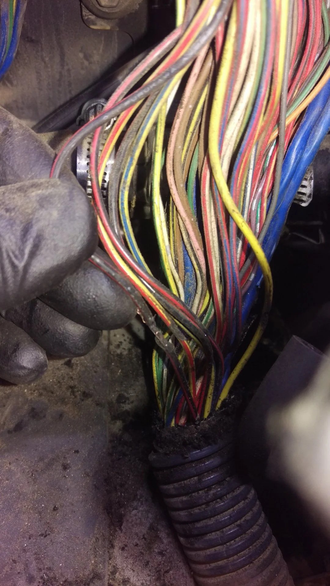 Fusible Link/Circuit Issue | IH8MUD Forum