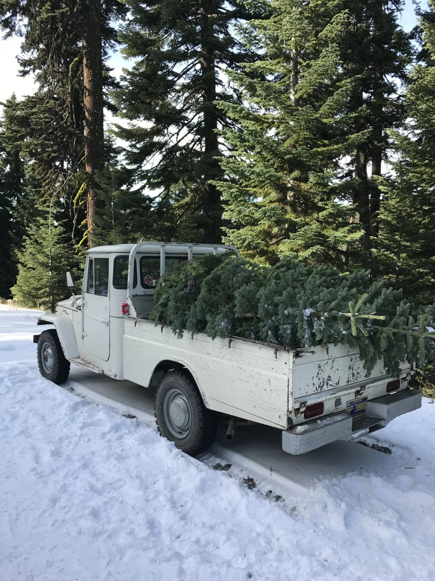 45's in the winter pictures Page 4 IH8MUD Forum