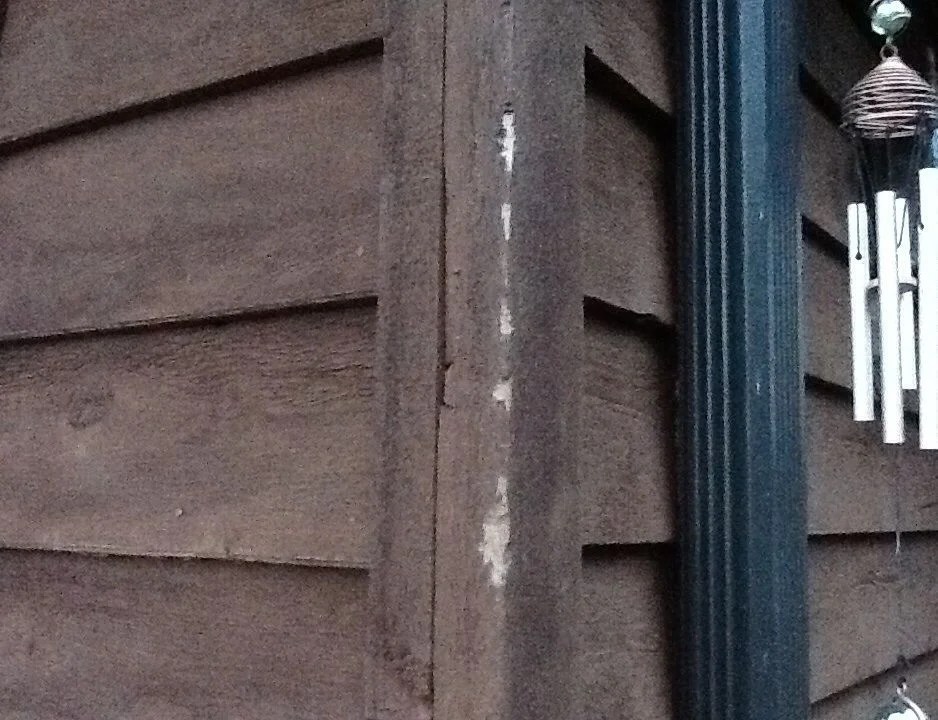 Darn Squirrels IH8MUD Forum