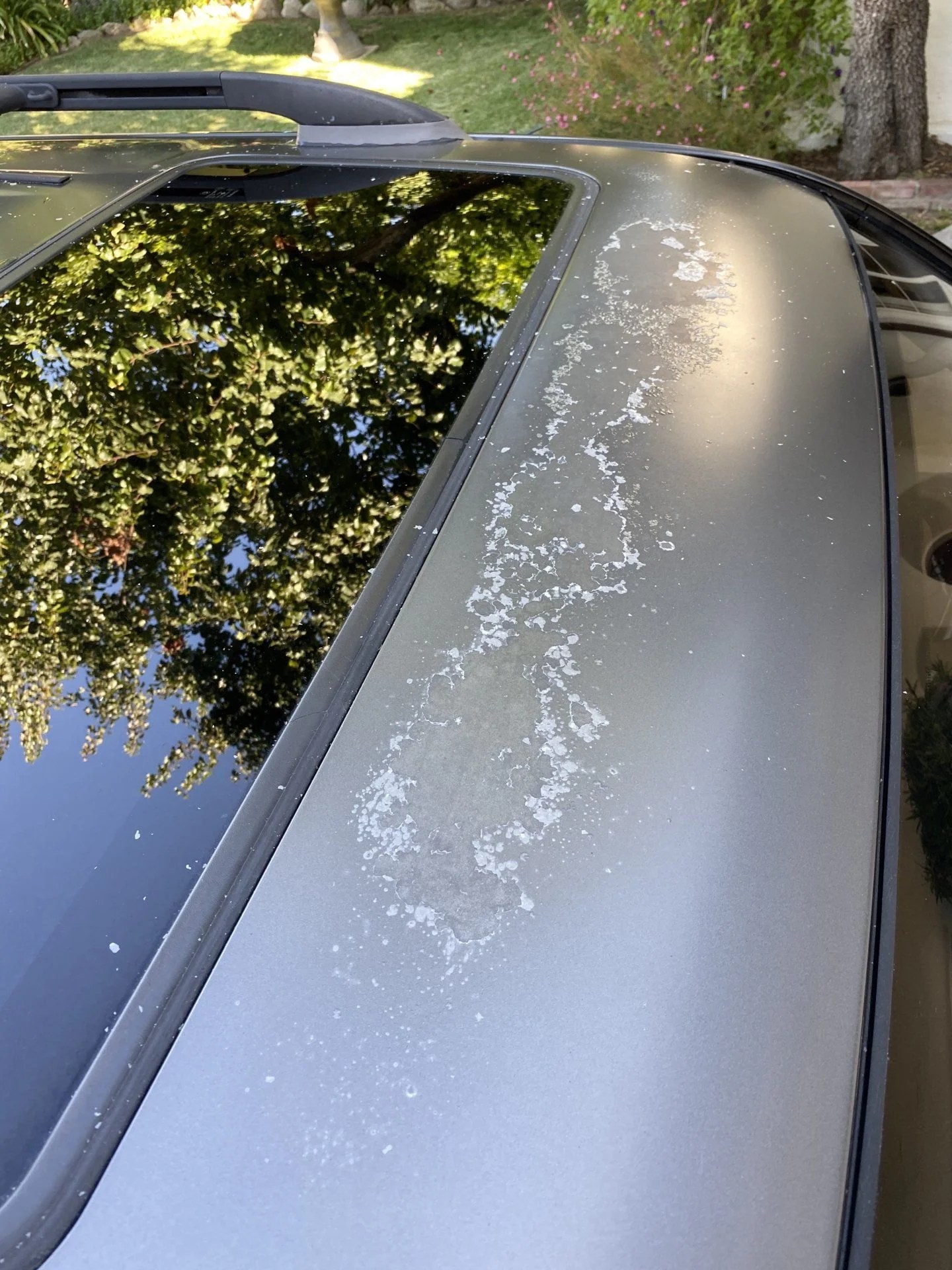 Peeling Clear Coat Wrap, SelfPaint, Or...? IH8MUD Forum