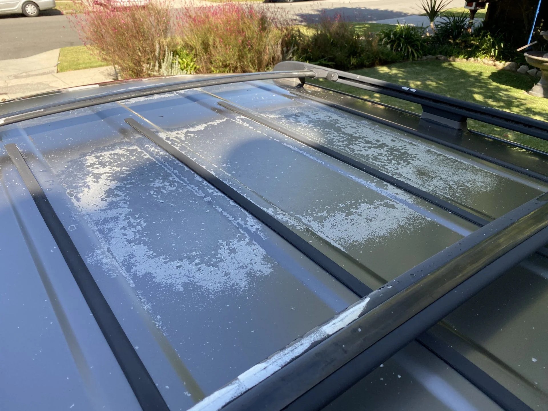 Peeling Clear Coat Wrap, SelfPaint, Or...? IH8MUD Forum