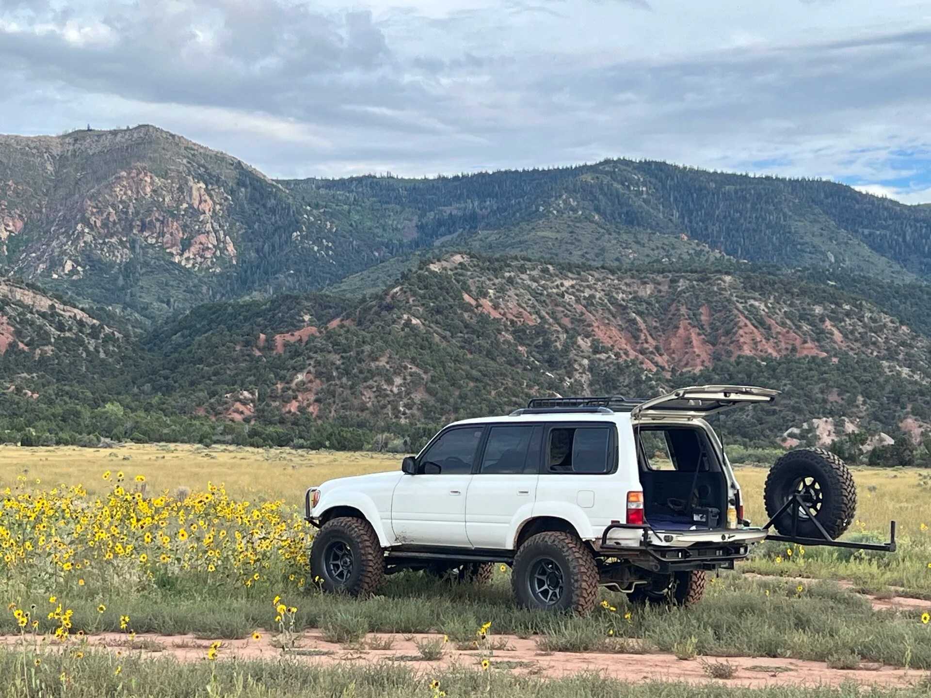 For Sale Cedar City, UT LS80 1991 IH8MUD Forum