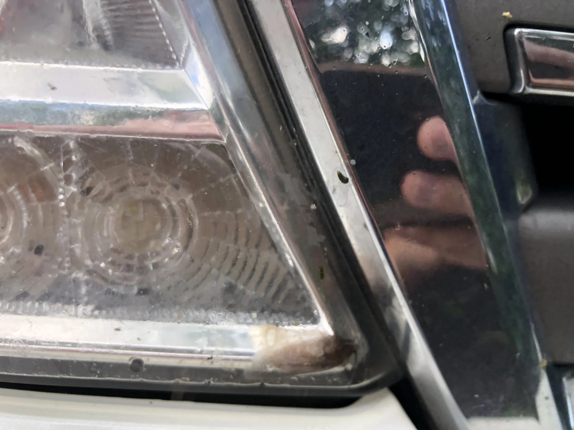 Headlight dirty from inside, bugs inside! IH8MUD Forum