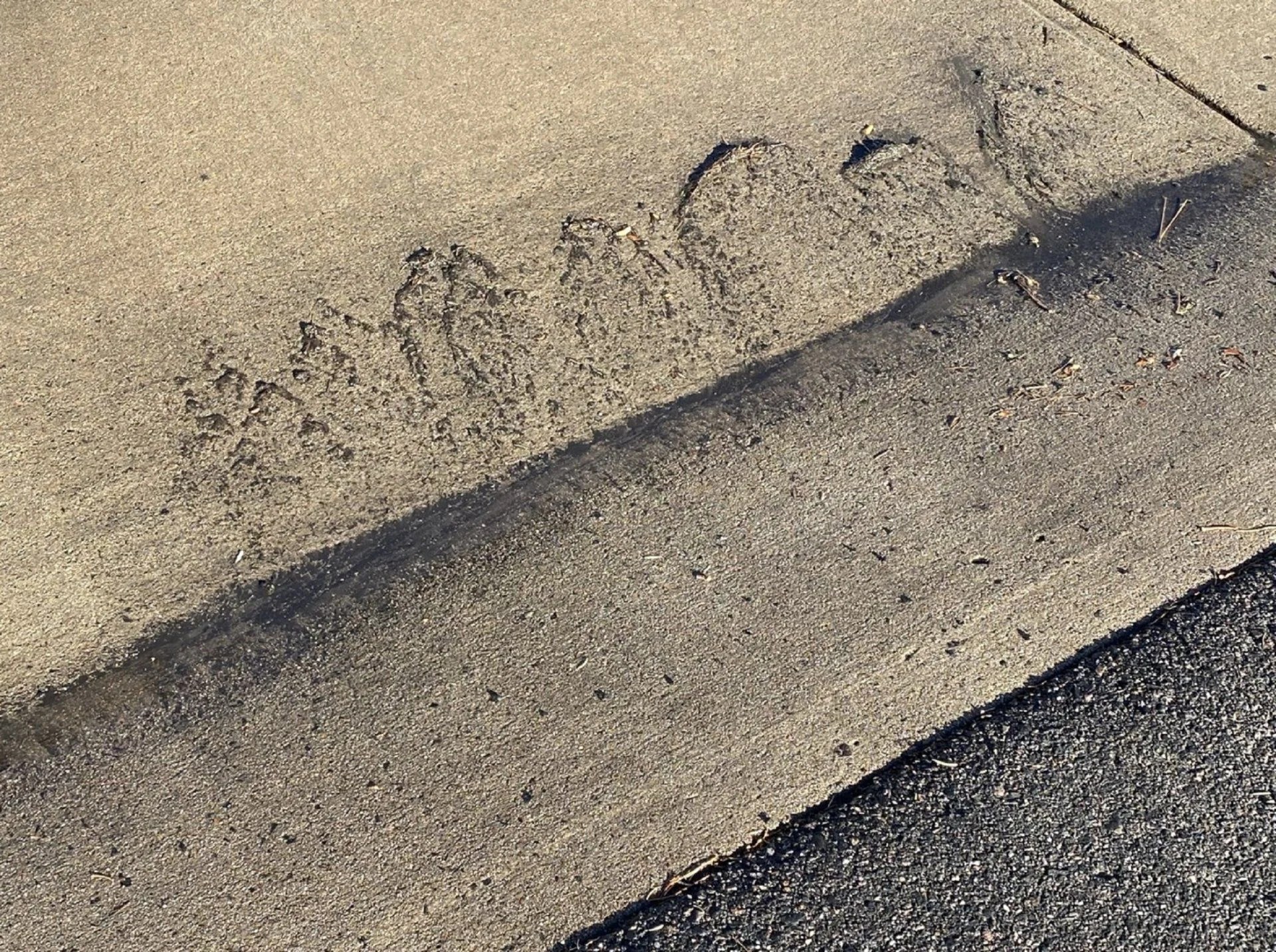 Radiator fins need cleaning! Alert Alert Alert | IH8MUD Forum