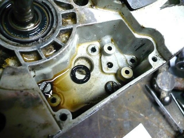 Repair Stihl Chainsaw Oil Pump Page 6 IH8MUD Forum