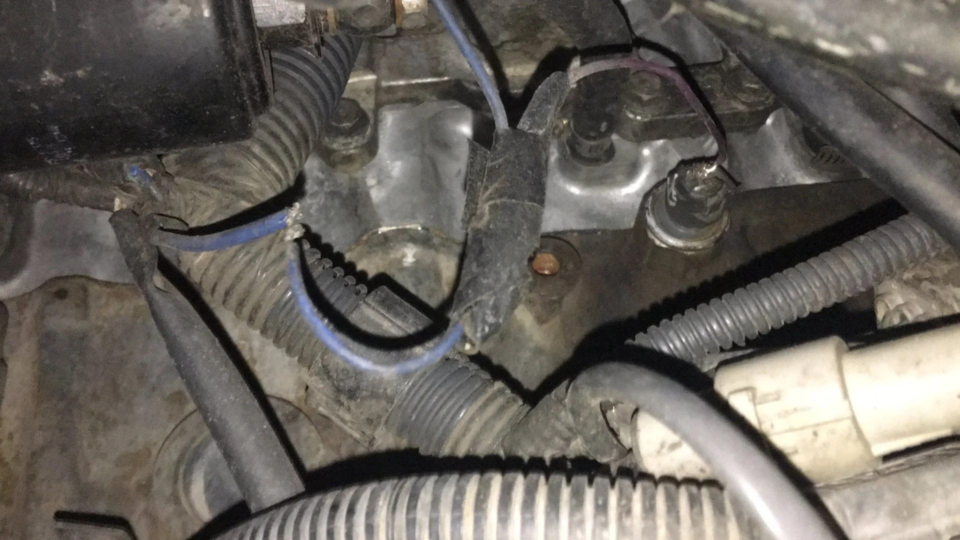 Found my knock sensor problem IH8MUD Forum